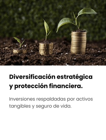 Tarjeta 4 Tarjeta 4